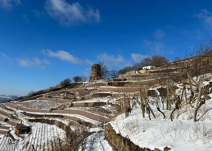 Im Paradies Ferienhaus Radebeul
